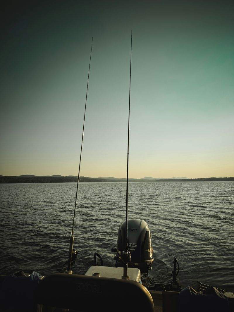 Vendita esche e accessori